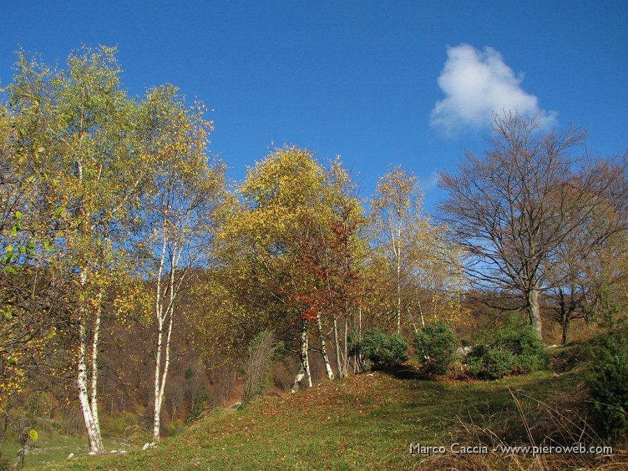 02_A valle è ancora autunno.jpg